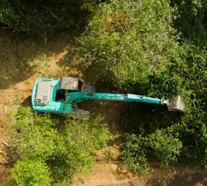 aerial view of the deforestation 2025 03 25 16 27 46 utc